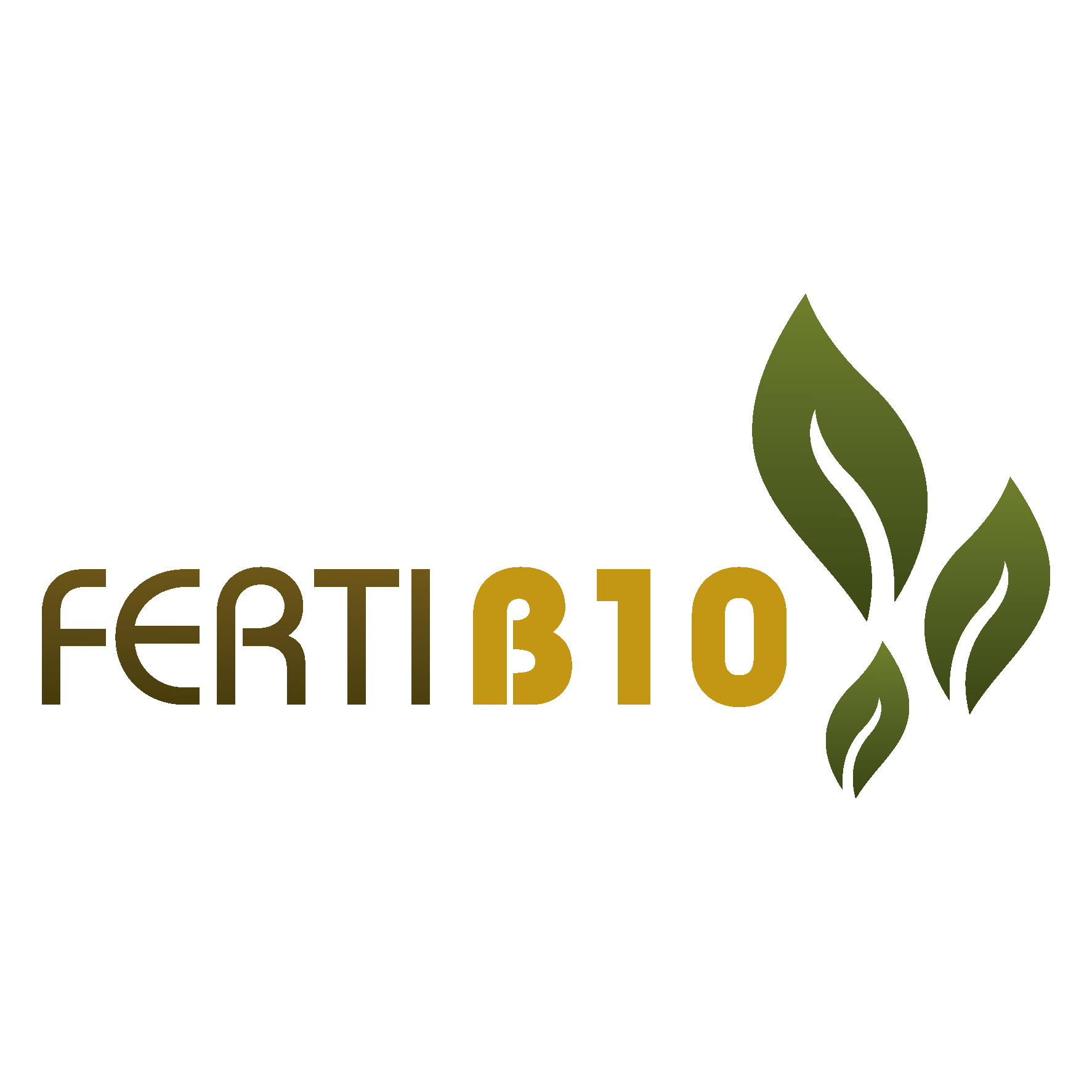 FERTI B10 ®